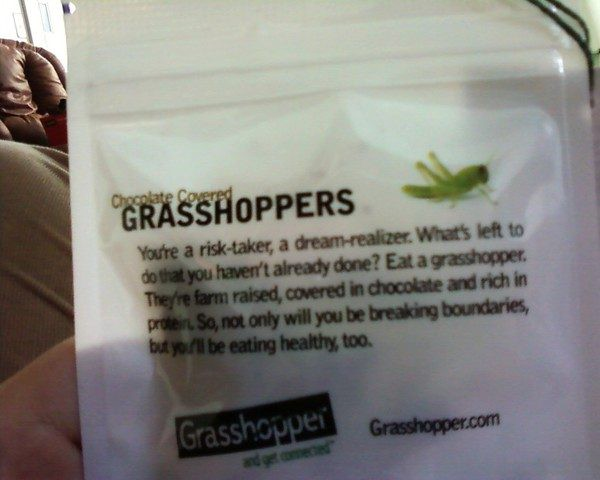 Партизанский маркетинг примеры – кейс Grasshopper
