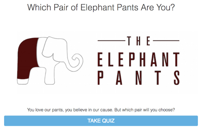 Онлайн-опросы в маркетинге – тест про слона