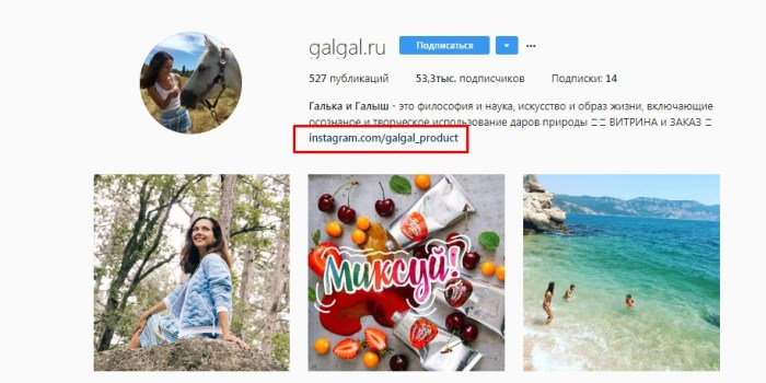 Рекламная стратегия в Instagram – магазин эко-косметики, пример био