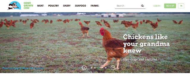 Пример сайта с крутым дизайном от Home grown cow, магазин экопродуктов